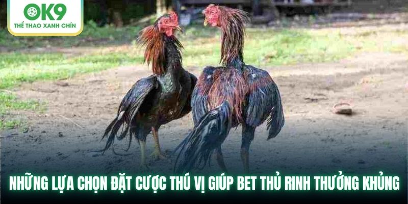 Những lựa chọn đặt cược thú vị giúp bet thủ rinh thưởng khủng