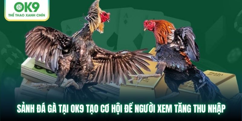 Sảnh đá gà tại OK9 tạo cơ hội để người xem tăng thu nhập